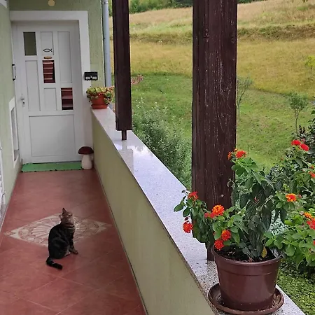 Filute * Врбовско