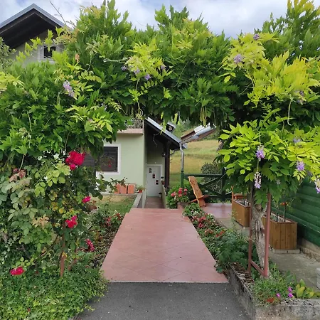 Апартаменты Filute *